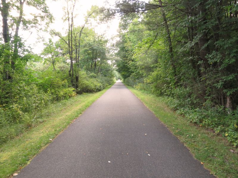 Commercial Pathway Paving