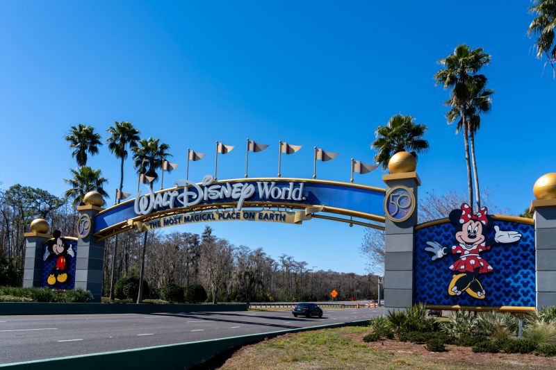Theme Park Paving