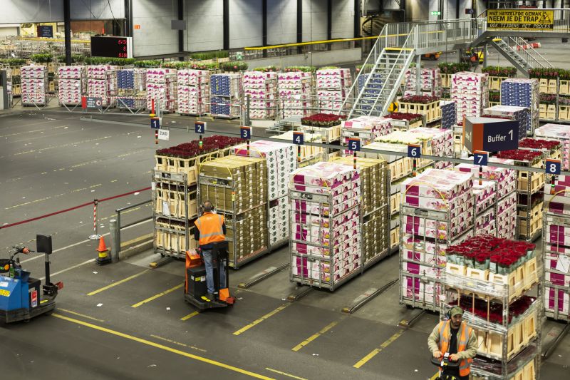 Warehouse Paving